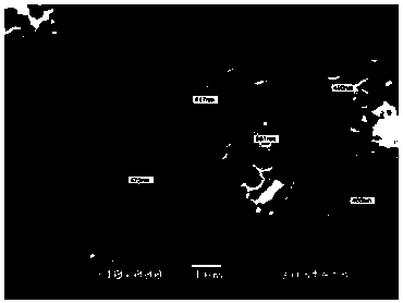 Method for preparing polycrystalline black silicon suede in single-sided by a metal catalytic chemical etching method