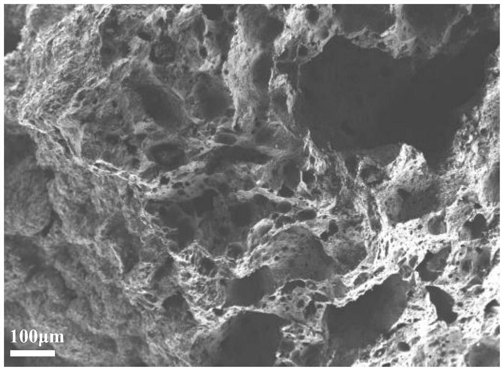 Sludge carbon-based ozone catalyst and preparation method thereof