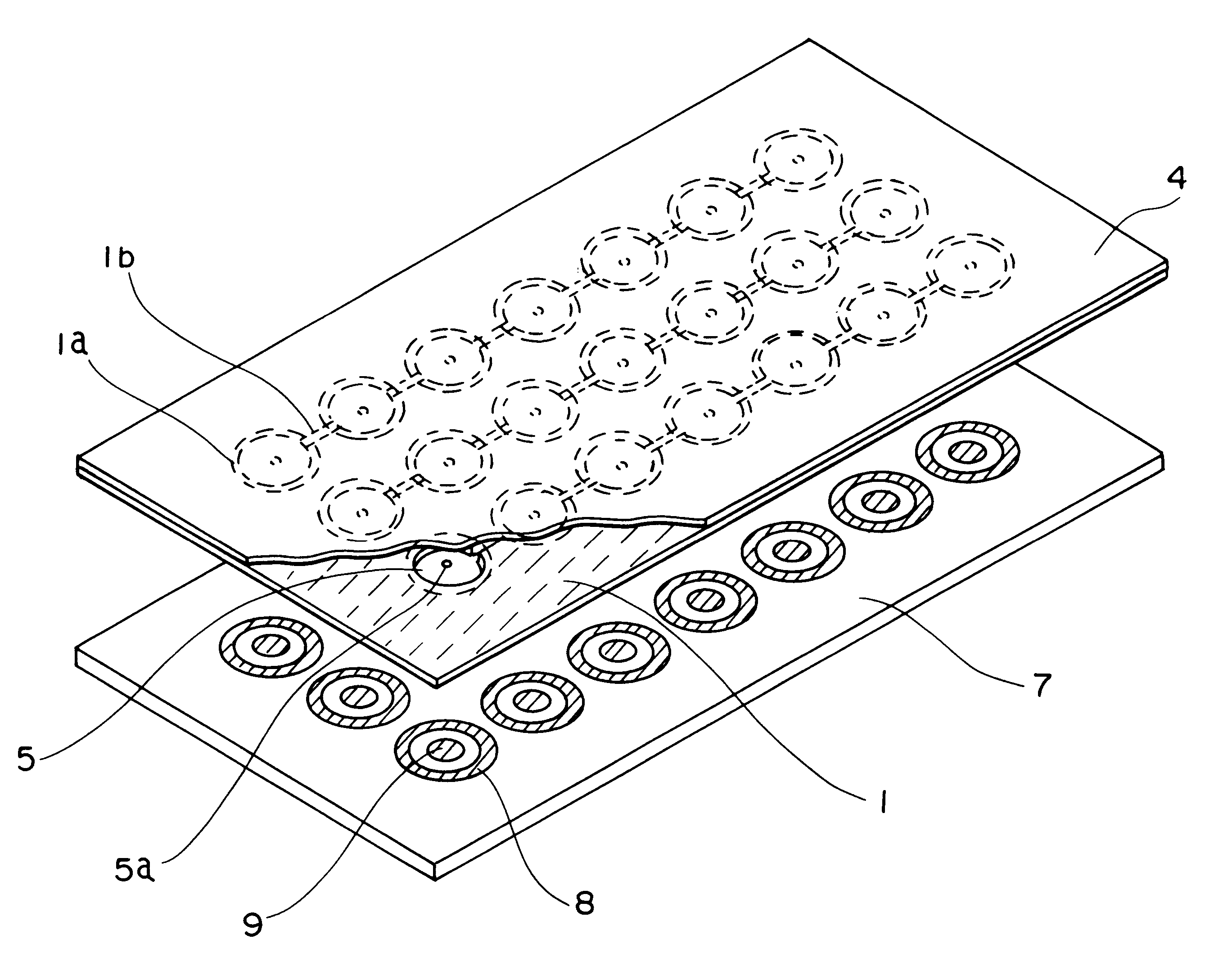 Sheet with movable contacts and sheet switch