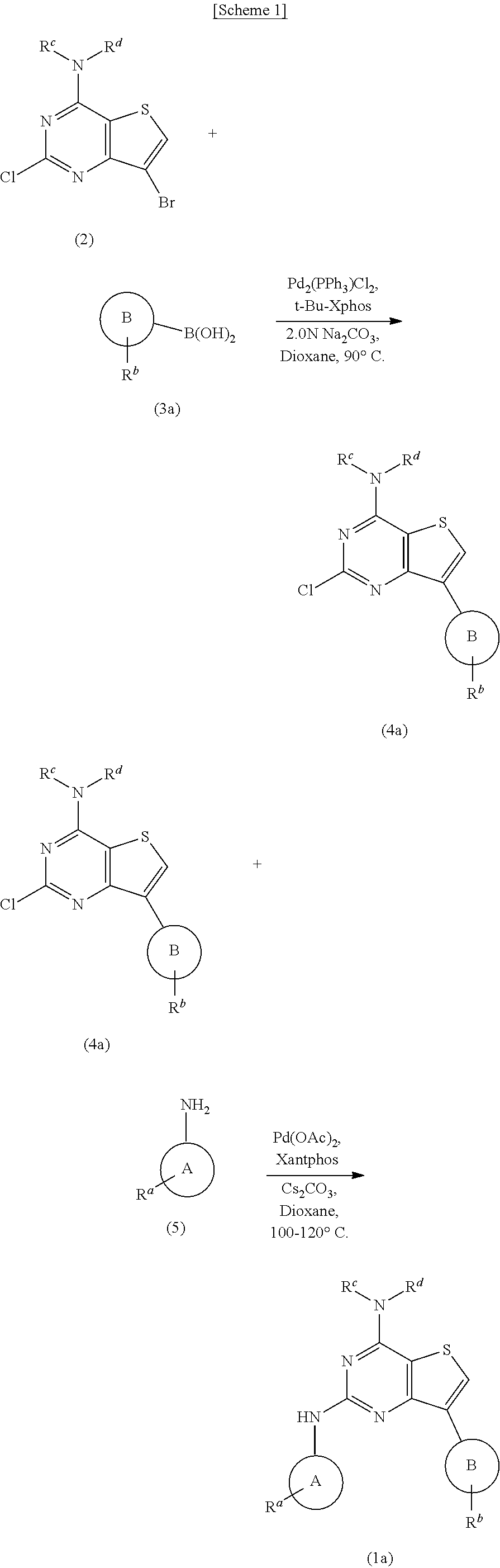 2,4,7-substituted thieno[3,2-d]pyrimidine compounds as protein kinase inhibitors