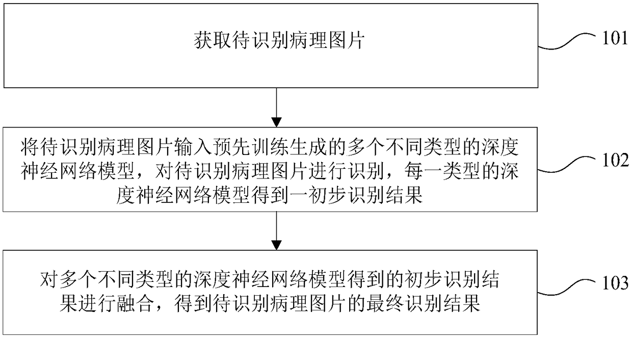 Pathological picture identifying method and device