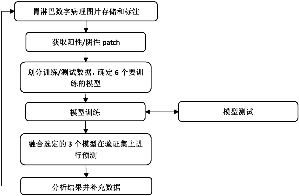 Pathological picture identifying method and device