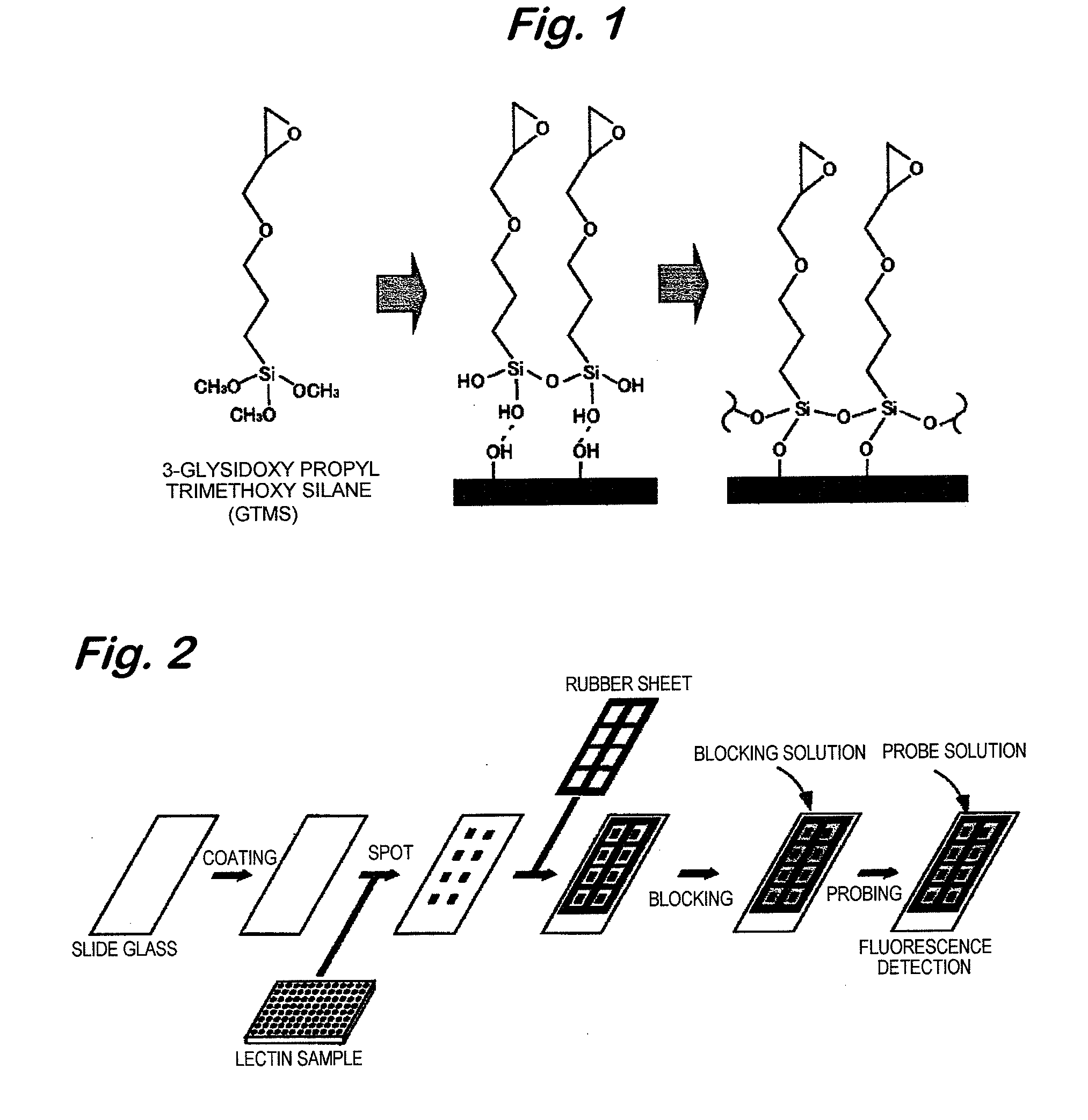 Analyzer for glycan or complex carbohydrate