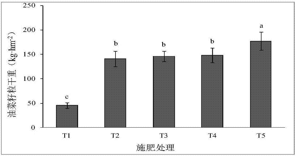 Application method of chemical fertilizer in fertilization reduction synergy of oilseed rape