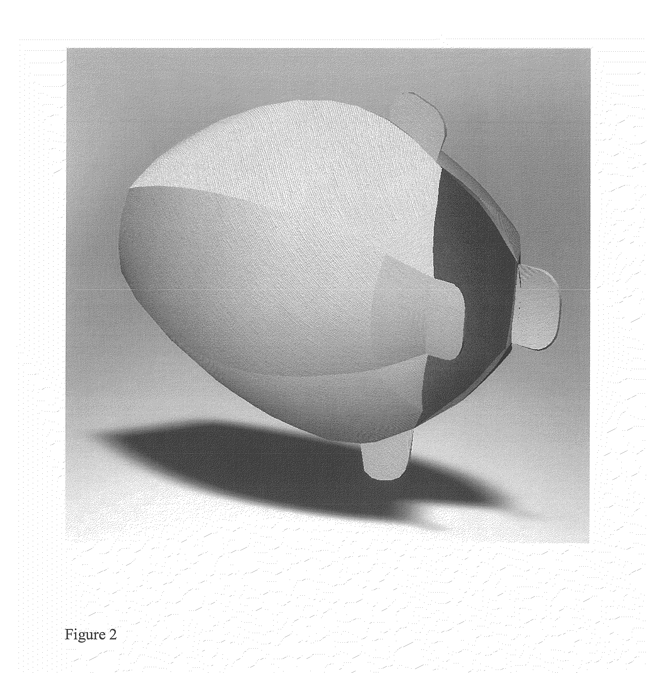 Cell-scaffold constructs