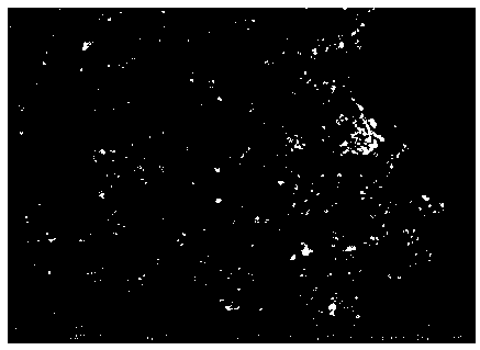 Preparation method of cerium dioxide nanorod doped titanium dioxide nanoparticle photocatalyst