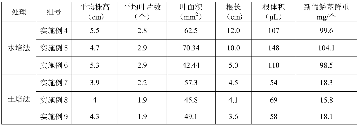 Polygonum viviparum hydroponics nutrition liquid and polygonum viviparum hydroponics method