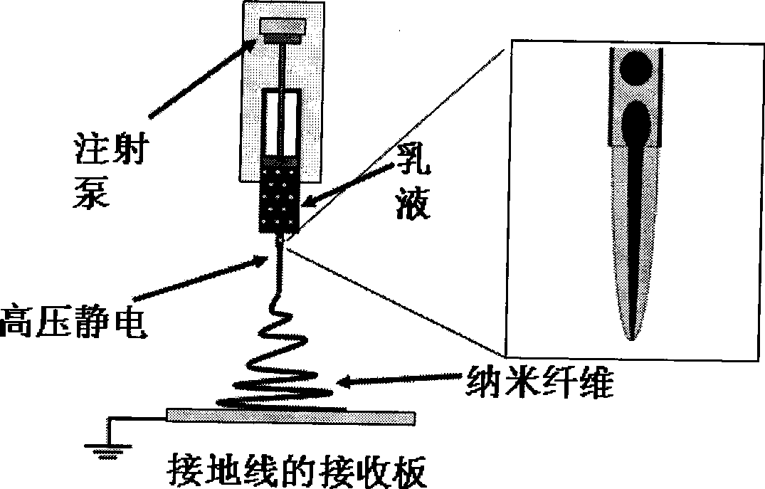 Method for producing shell-core structure medicament nano-fibre with emulsion electrostatic spinning technology