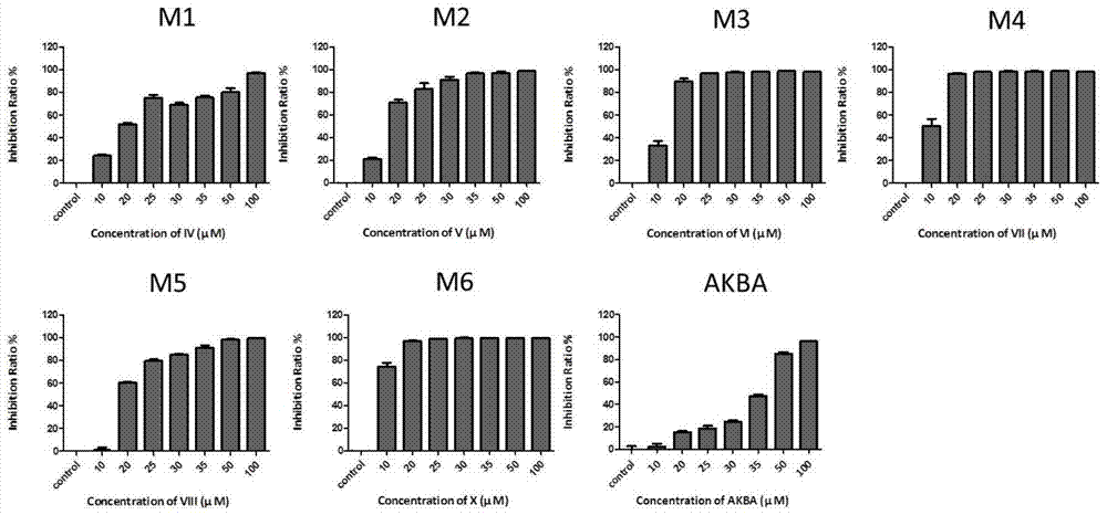 Preparation method and application of pentacyclic triterpene derivatives