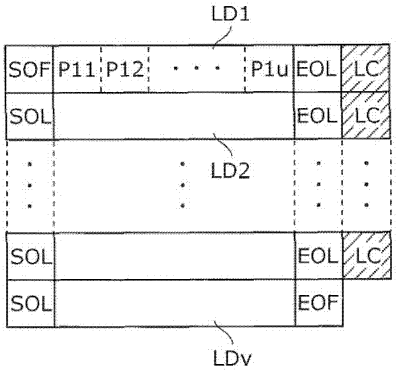 Serial data transmission-reception device and digital camera