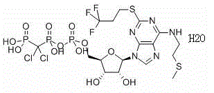 Cangrelor monohydrate crystal and preparation method thereof