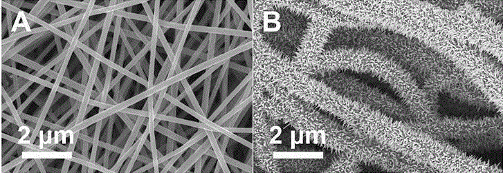 Cobalt-nickel sulfide/carbon nanofiber composite material and preparation method and application thereof