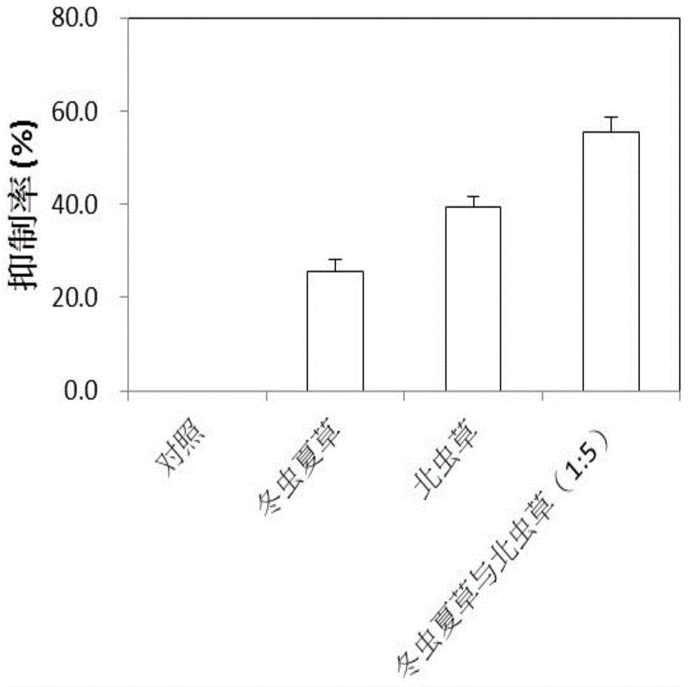 Cordyceps sinensis and cordyceps militaris extracting solution, and preparation method and applications thereof