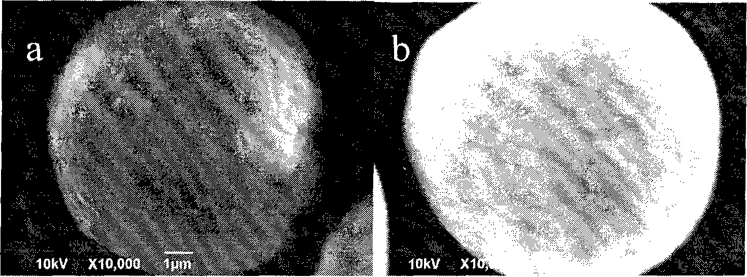 Method for evenly cladding CoOOH on powdery nickel hydroxide electrode material surface