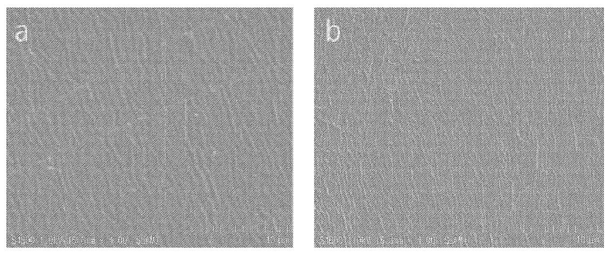 Nitric oxide-releasing wound treatment film and preparation method therefor