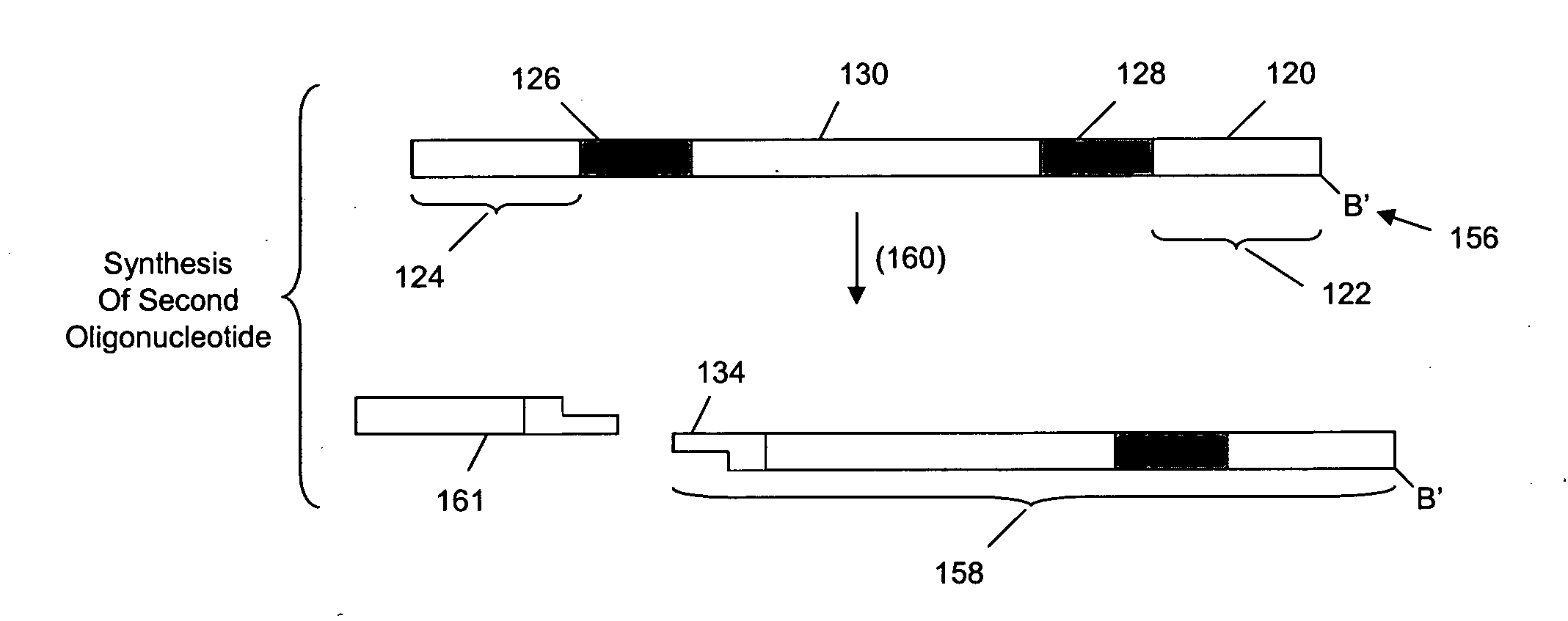 Multiplex polynucleotide synthesis