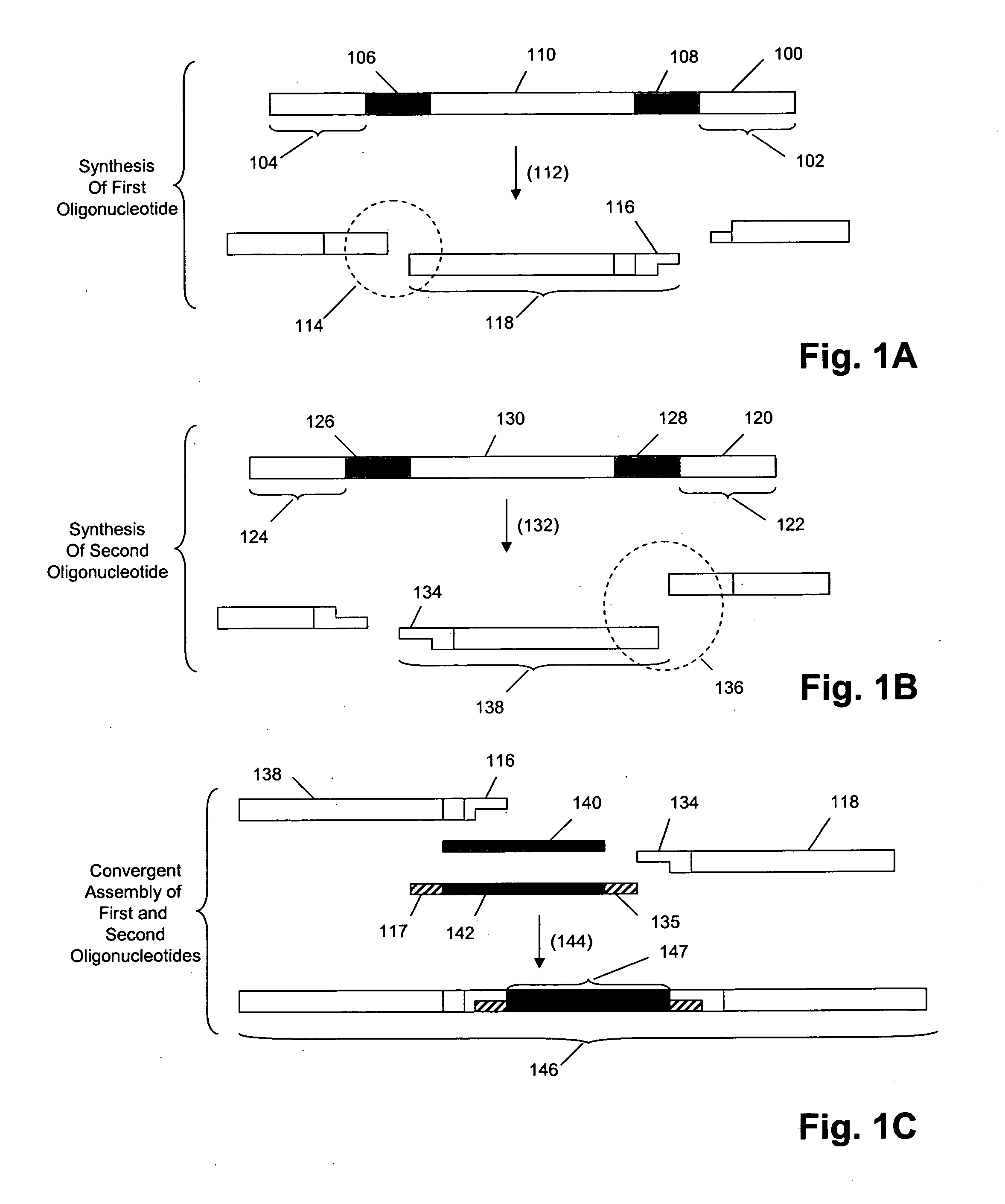 Multiplex polynucleotide synthesis