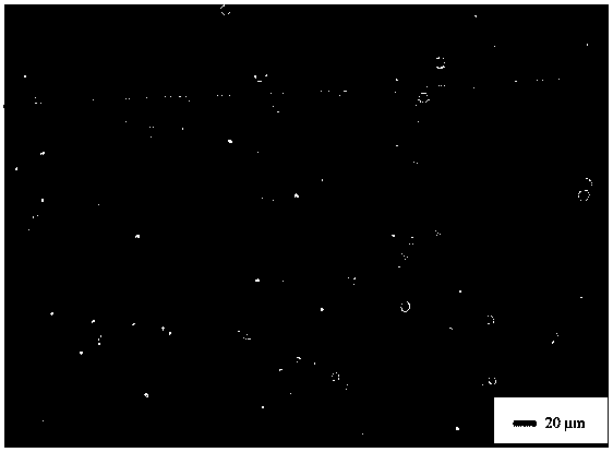 Method for cultivating chlorella by using food waste