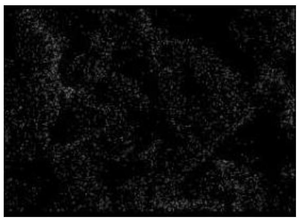 Positive electrode lithium supplementing material, positive electrode plate containing positive electrode lithium supplementing material and electrochemical device