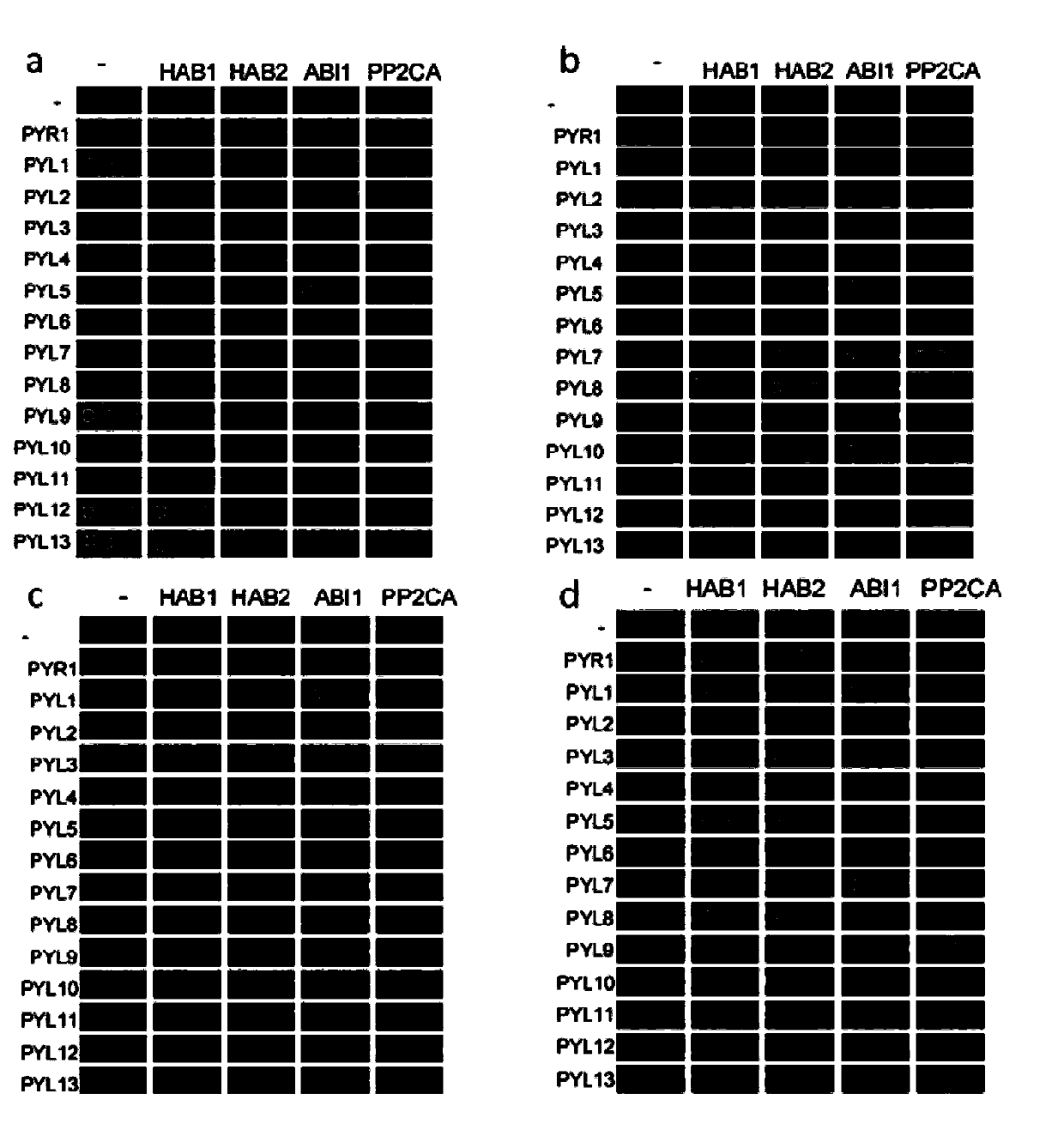 Small molecule compound for enhancing plant stress resistance