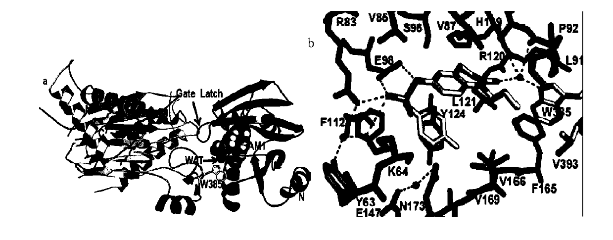 Small molecule compound for enhancing plant stress resistance