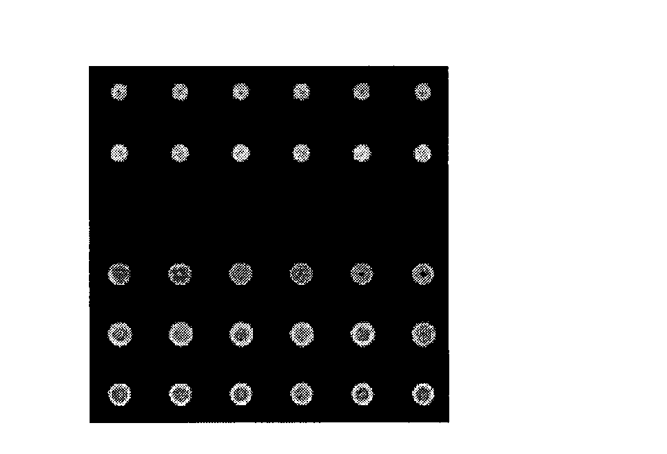 Amino plastic substrate, and preparation method and application thereof