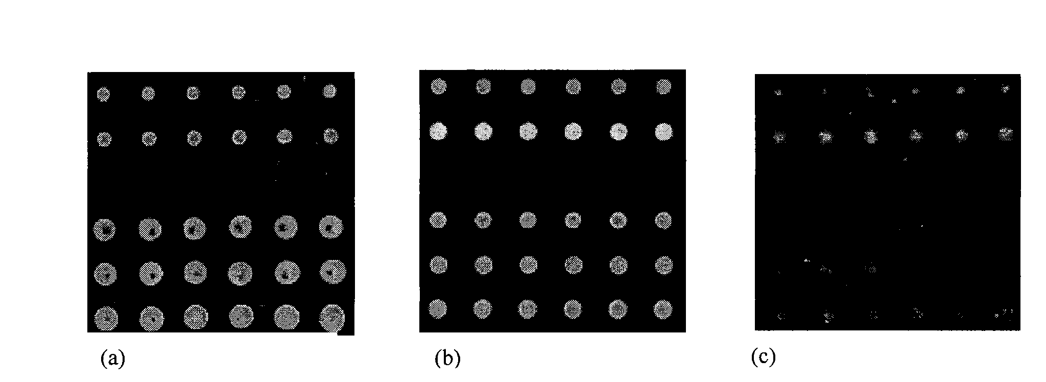 Amino plastic substrate, and preparation method and application thereof