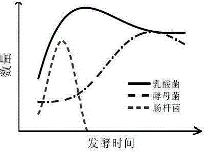 Method for directional screening of probiotic lactic bacteria based on pickled vegetable fermentation system