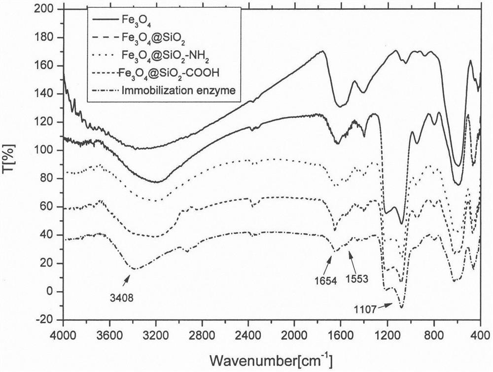 A method for screening aromatase inhibitors by using surface carboxyl-modified magnetic spheres to prepare immobilized enzymes