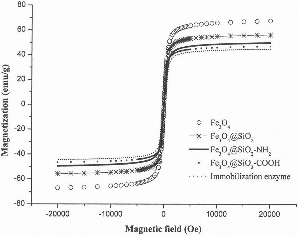 A method for screening aromatase inhibitors by using surface carboxyl-modified magnetic spheres to prepare immobilized enzymes