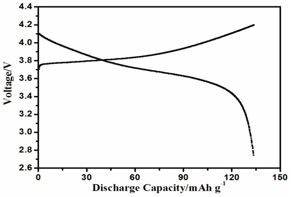 A polymer binder with high peel strength and its application in secondary lithium batteries