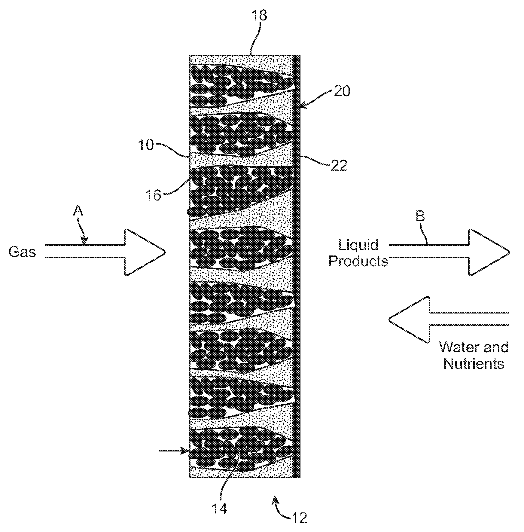 Bioconversion process using liquid phase laving to enhance gas phase conversion