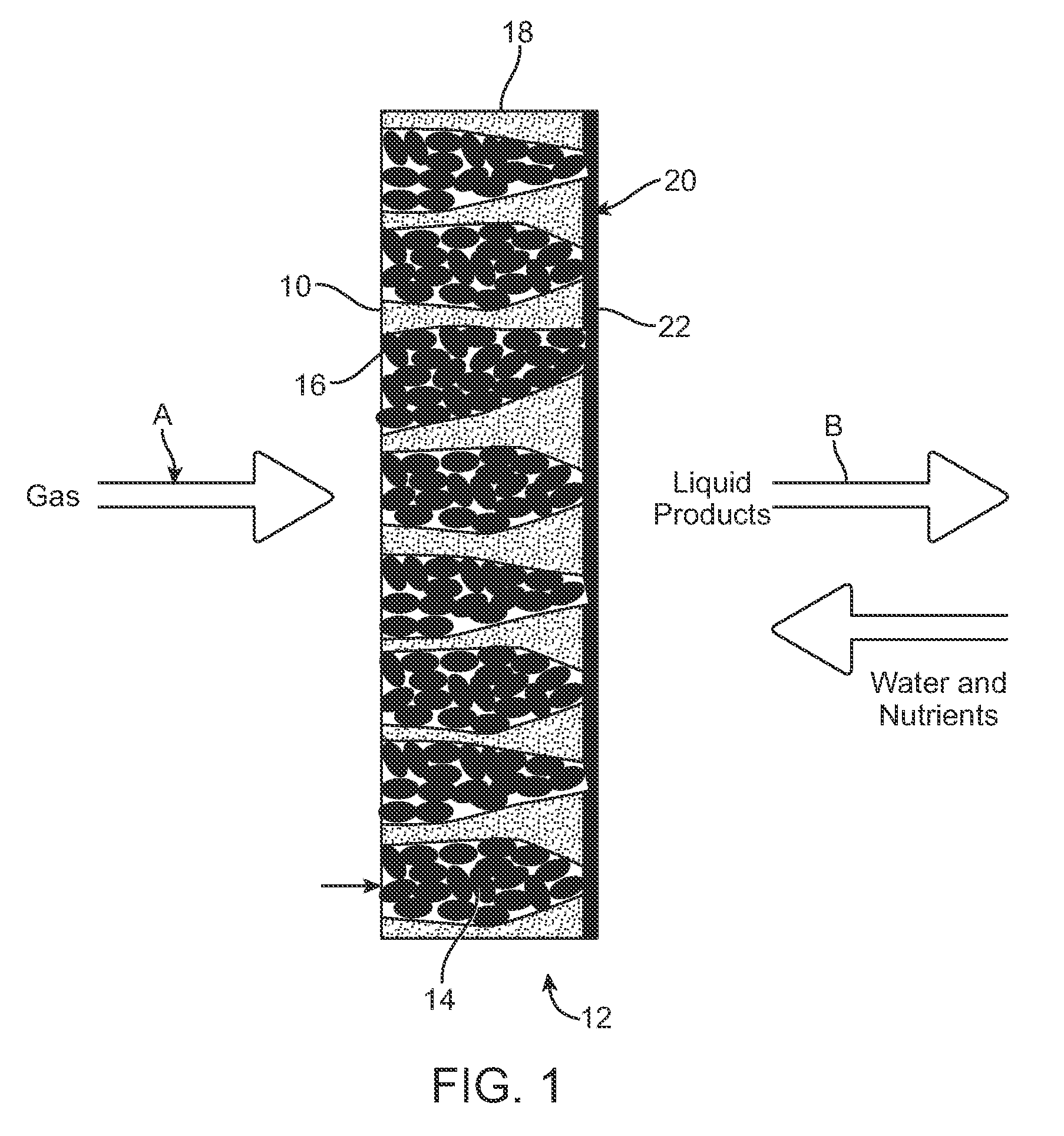 Bioconversion process using liquid phase laving to enhance gas phase conversion