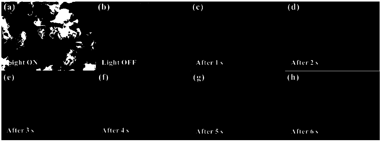 Preparation method of D-A type organic doped crystal afterglow material capable of being excited by ultraviolet-visible light