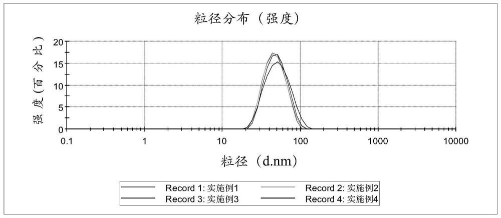 Drug-loaded polymer micelle, preparation thereof and preparation method thereof