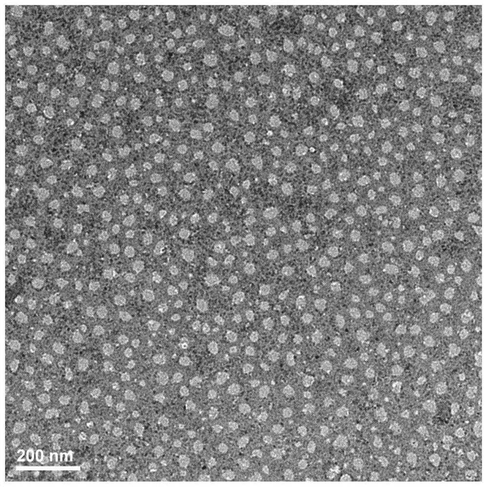 Drug-loaded polymer micelle, preparation thereof and preparation method thereof