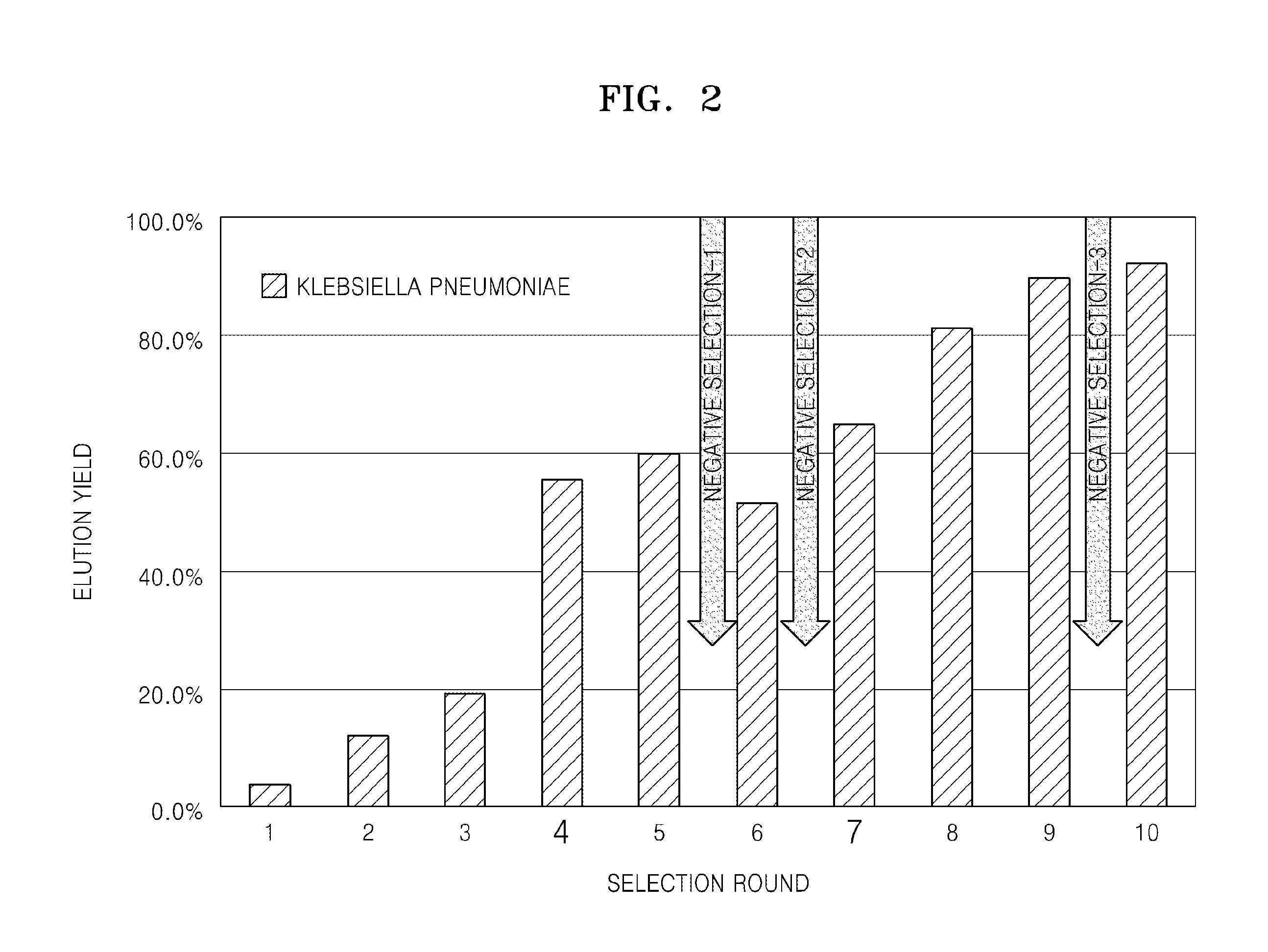 Single-stranded nucleic acid aptamers specifically binding to klebsiella pneumoniae and method for detecting k. pneumonia using the same