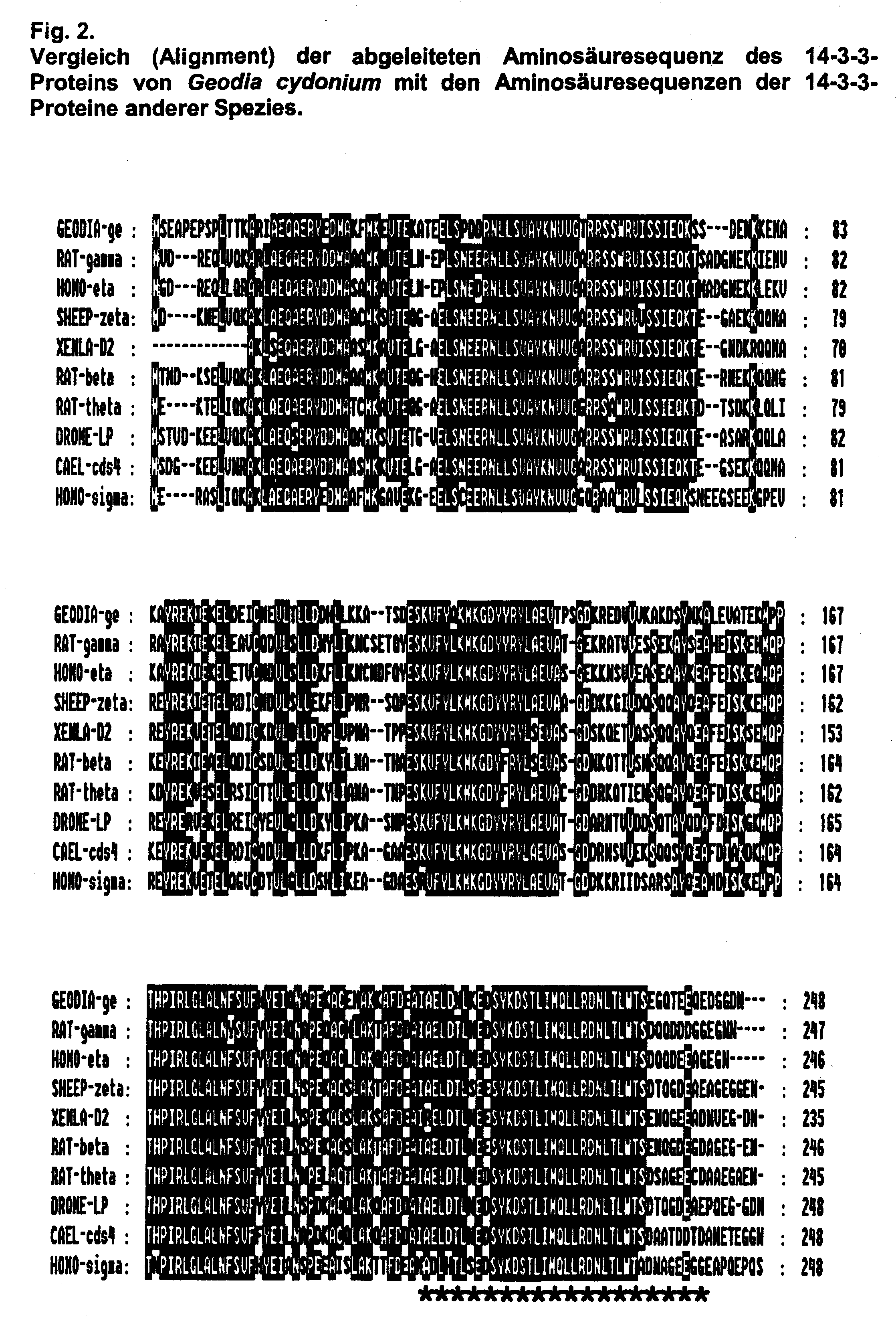 Use of 14-3-3 proteins and a method for determining the same in the fluids or tissues of organisms