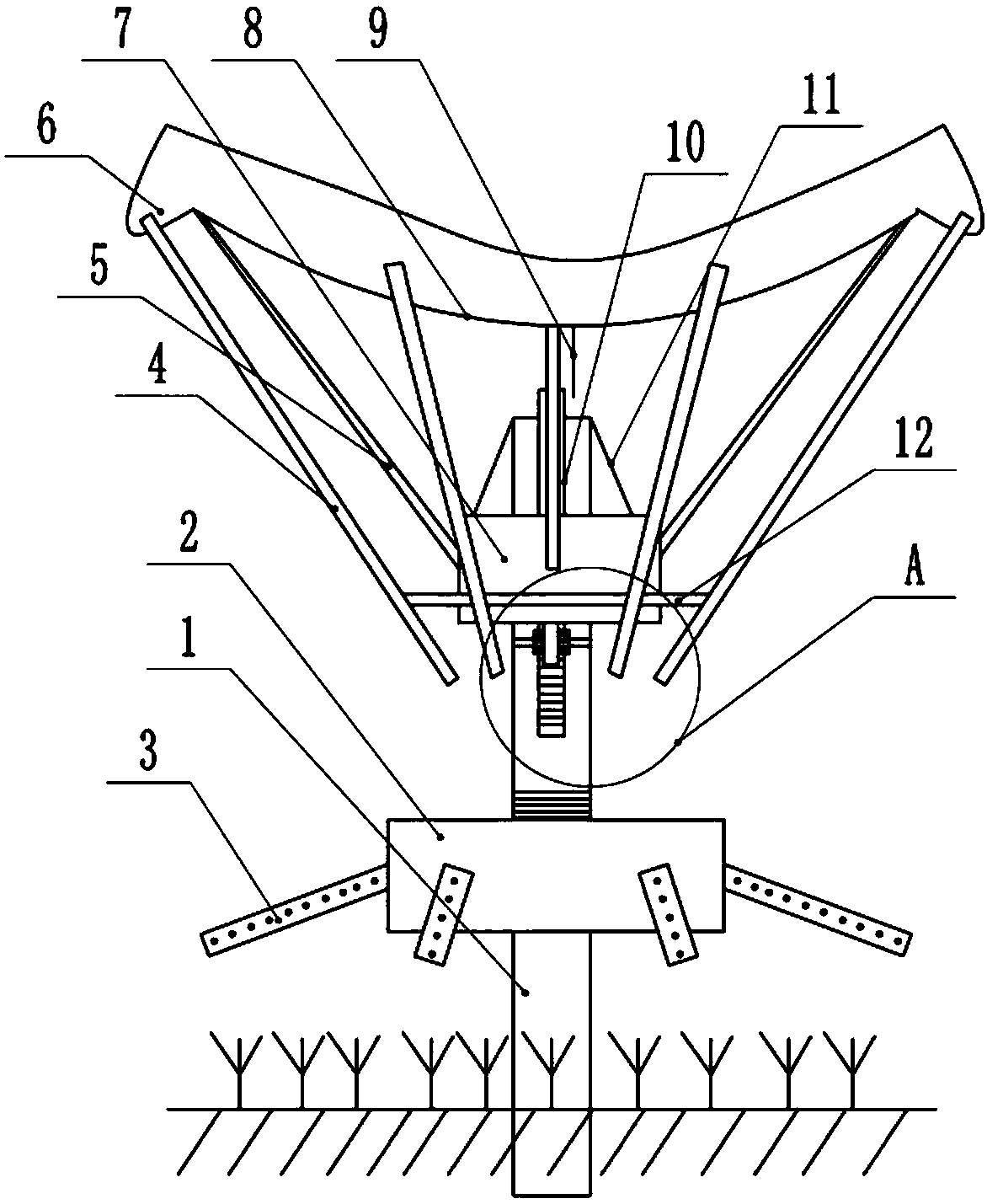 Cultivation and planting method of rhizoma paridis