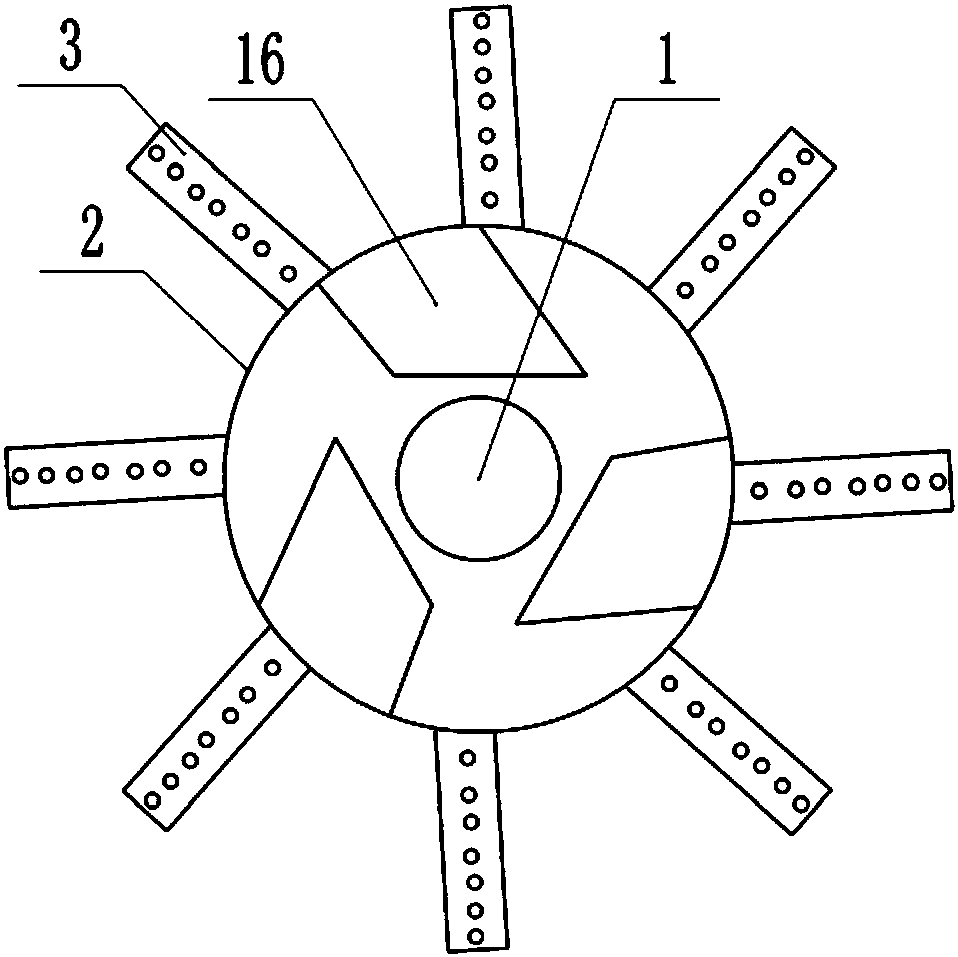 Cultivation and planting method of rhizoma paridis