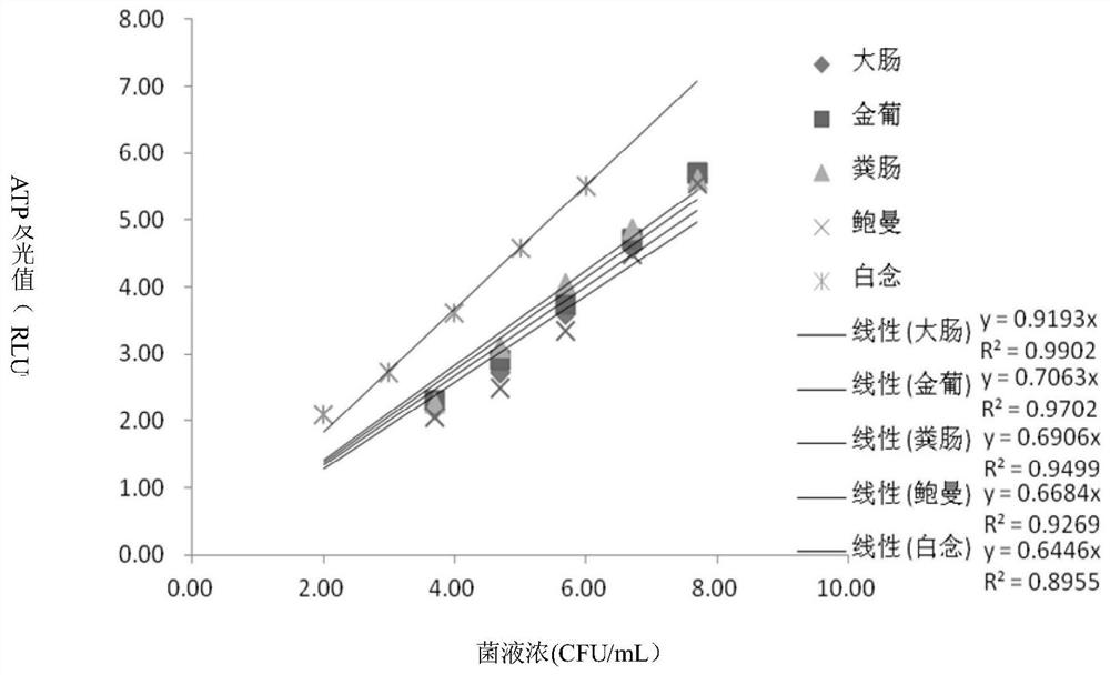 Kit and application for detecting urinary pathogenic bacteria