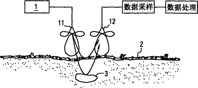 Method for measuring biomass of plant underground roots by using ground penetrating radar