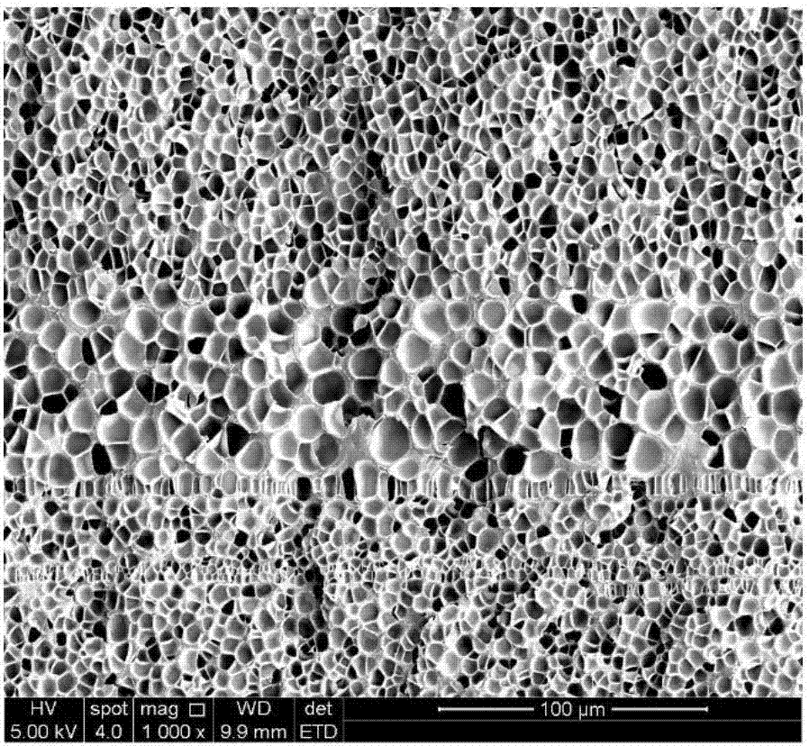 Preparation method for polymer-based density-gradient foam material