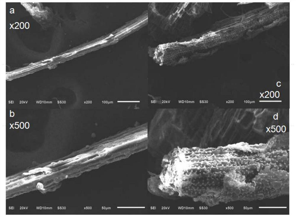 A high-efficiency green pretreatment method and application for improving lignocellulose enzymatic hydrolysis and saccharification efficiency