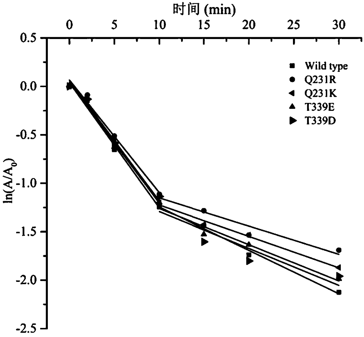 Starch branching enzyme mutants with improved thermal stability