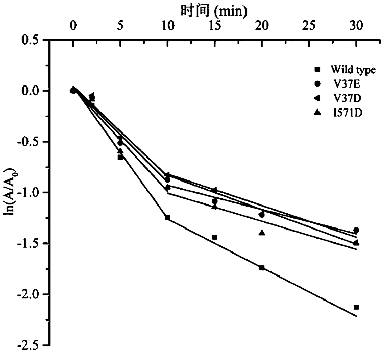 Starch branching enzyme mutants with improved thermal stability