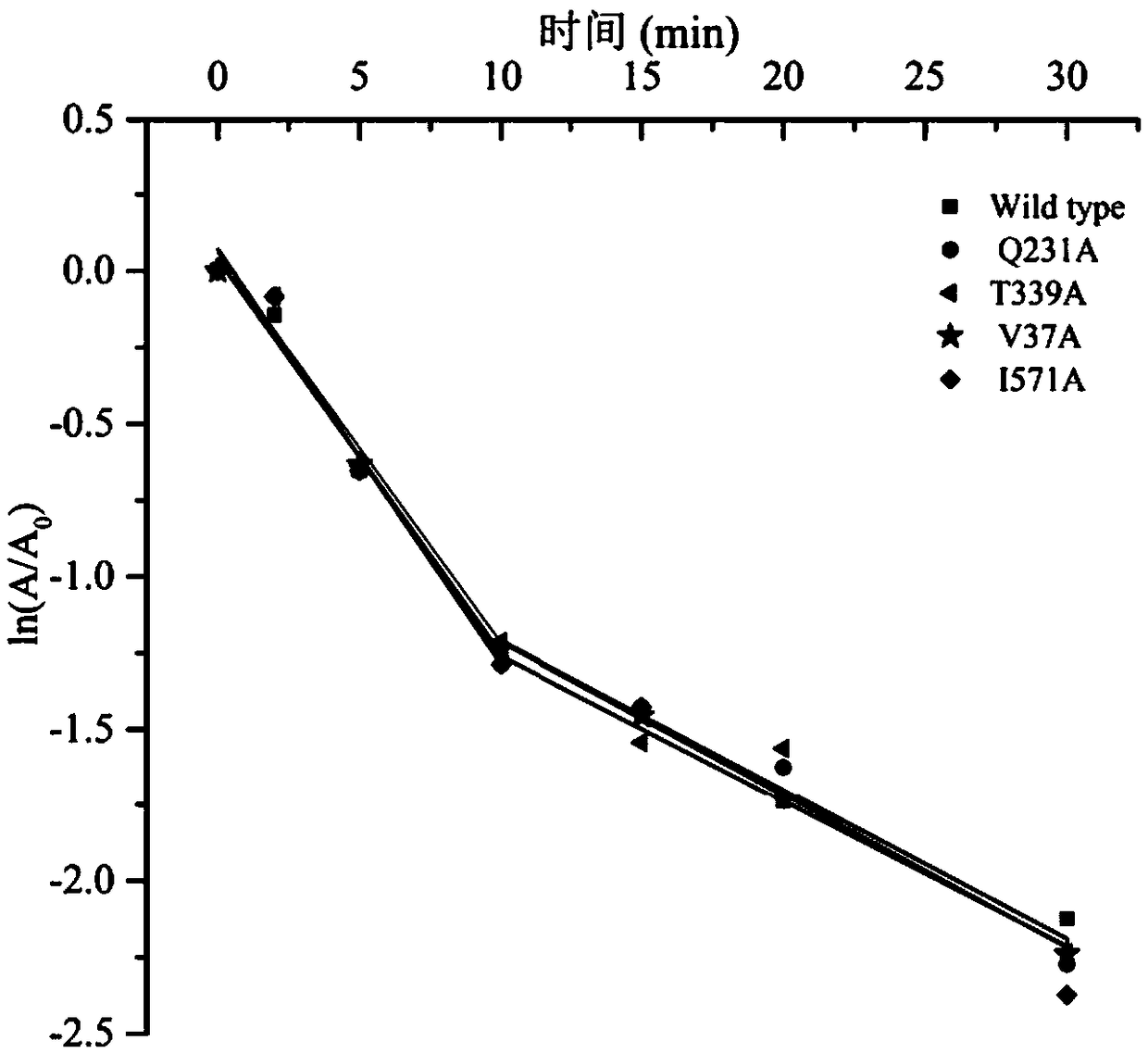 Starch branching enzyme mutants with improved thermal stability