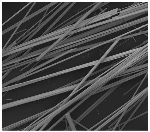 Dual-niobium-source alkali metal niobate micro-nano wire material and preparation method thereof