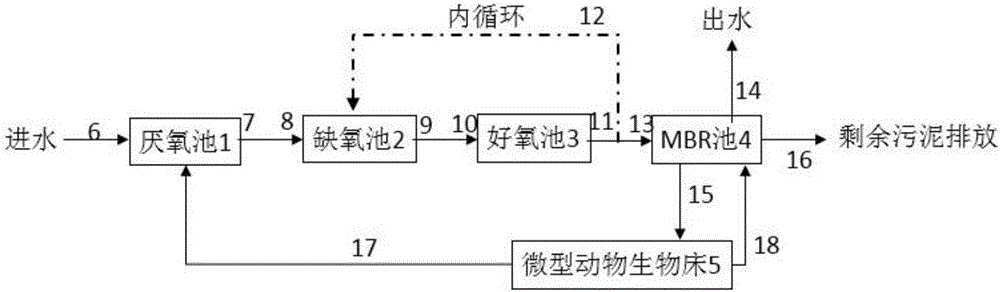 A2O (anaerobic-anoxic-oxic), MBR (membrane bio-reactor) and miniature animal bio-bed set for wastewater treatment and sludge reduction and application thereof