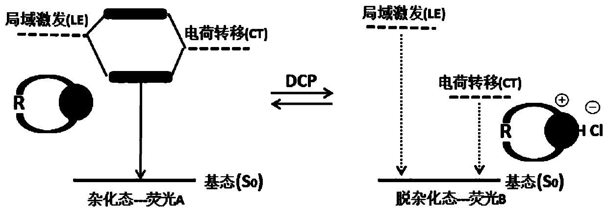 Fluorescent probes and application thereof to detection of neurotoxic agents